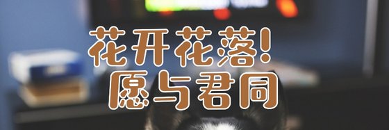 花開花落！願與君同